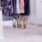 Household Essentials White 9-Pair Wire Shoe Rack